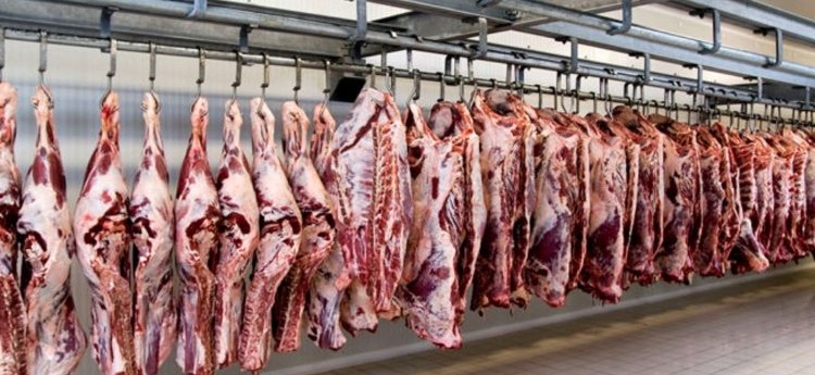 El Líbano le apostará aa la modernización de la Planta Regional de Beneficio Animal