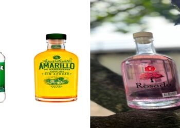 Asambleistas del Tolima insisten en que Fábrica de Licores necesita que se cierren fronteras en el departamento