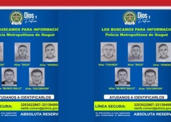 Estos son los 5 más buscados en Ibagué