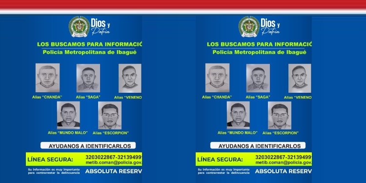 Estos son los 5 más buscados en Ibagué