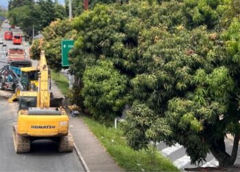Cortolima le puso freno a la construcción del puente de la 60
