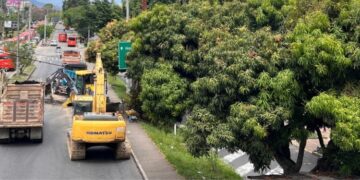 Cortolima le puso freno a la construcción del puente de la 60
