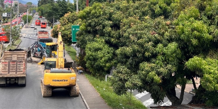 Cortolima le puso freno a la construcción del puente de la 60