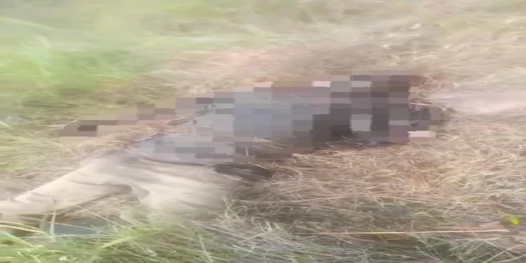 Sin vida fue encontrado adulto mayor reportado como desaparecido en Dolores, Tolima