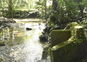 Hallaron un cuerpo en estado de descomposición en inmediaciones del barrio El Salado