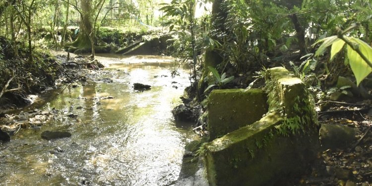 Hallaron un cuerpo en estado de descomposición en inmediaciones del barrio El Salado