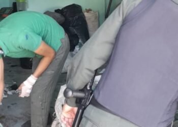 Cerraron establecimientos de venta de teléfonos celulares por tener algunos reportados como robados