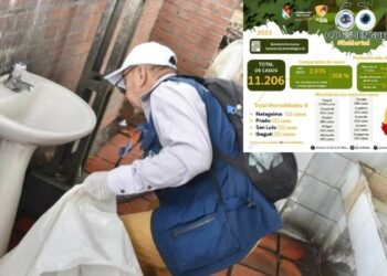 El dengue en el Tolima supera los 11.200 casos y sigue creciendo