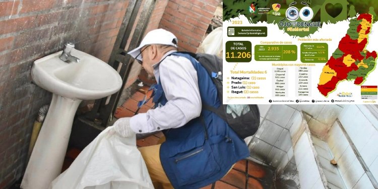 El dengue en el Tolima supera los 11.200 casos y sigue creciendo