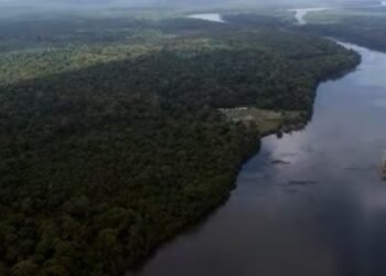 Desaparece Helicóptero con Siete Personas en la Frontera de Guyana en Medio de Tensiones Territoriales