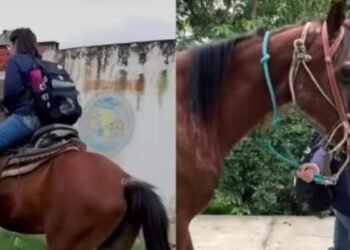 Viral: Cambió fiesta de 15 años por un caballo para ir a estudiar