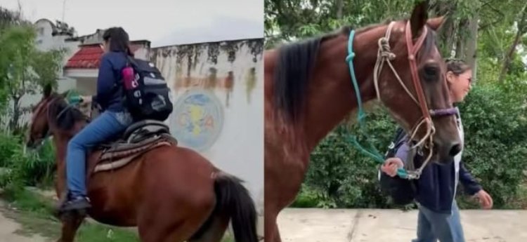 Viral: Cambió fiesta de 15 años por un caballo para ir a estudiar