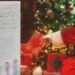 “Una Navidad sin deudas”: El regalo que niña le pidió a santa para ayudar a su mamá