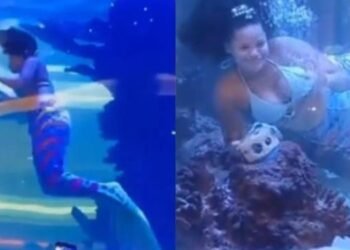 ‘Sirenita’ Casi Muere Ahogada en Pecera Gigante durante Espectáculo Acuático