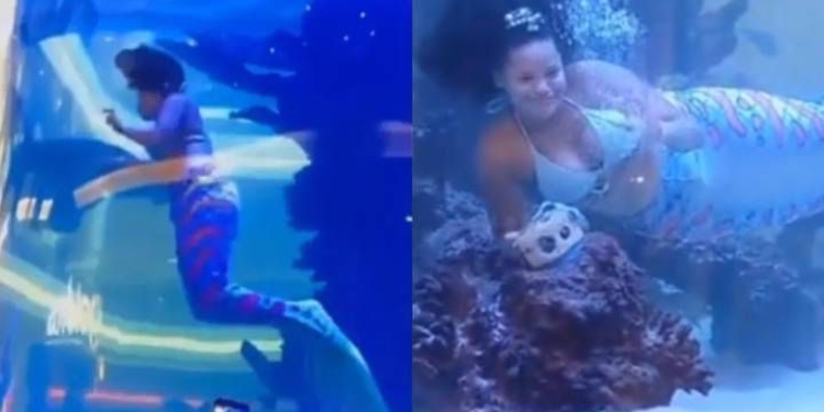 ‘Sirenita’ Casi Muere Ahogada en Pecera Gigante durante Espectáculo Acuático