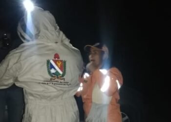 Ataque de abejas africanizadas dejó 5 gallinas y 2 conejos muertos en Cajamarca 