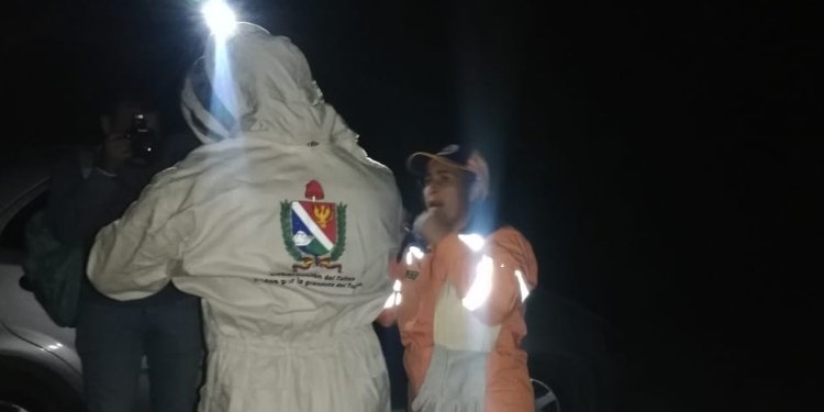 Ataque de abejas africanizadas dejó 5 gallinas y 2 conejos muertos en Cajamarca 