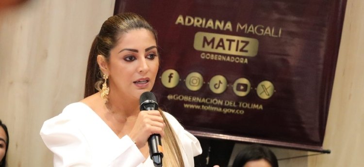 Exitoso encuentro entre alcaldes y Gobernación del Tolima 