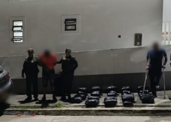 Más de 220 mil dosis de marihuana fueron incautadas en Alpujarra