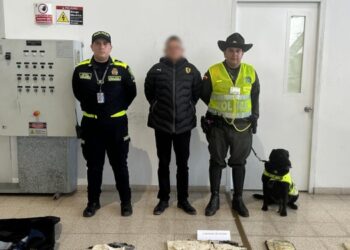 Enviaron a la cárcel al hombre que pretendía sacar Coca de Ibagué hasta España