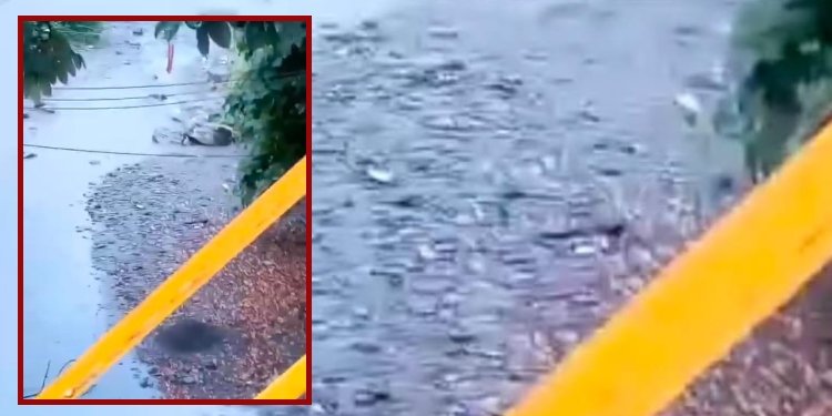 Preocupación en el Combeima por el bajo nivel del río