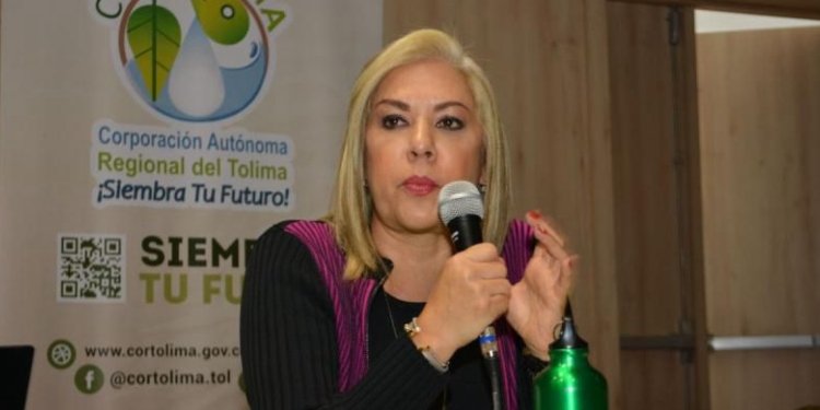 Cortolima escuchará a todos los alcaldes del Tolima