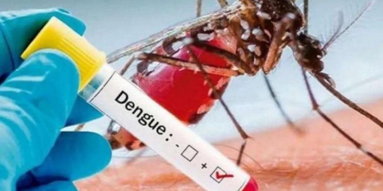 En solo 8 días de enero ya se cuentan más de 100 casos de dengue en Ibagué