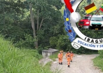 Falsas alarmas ocupan el tiempo de los organismos de socorro