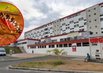 Preocupante aumento de casos graves de Dengue en el Tolima 