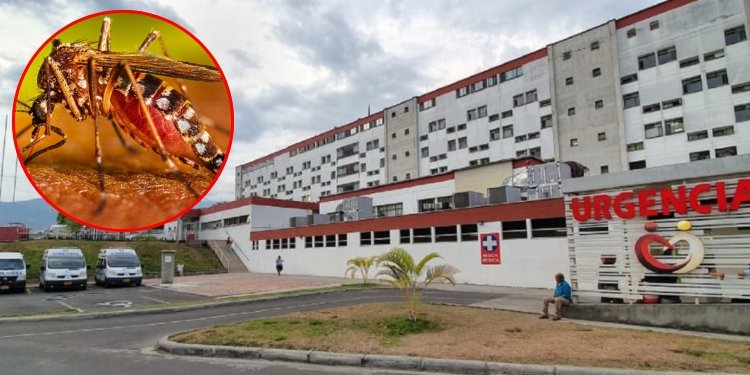 Preocupante aumento de casos graves de Dengue en el Tolima