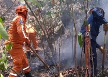 22 incendios han atendido los organismos de socorro en el Tolima 