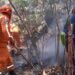 22 incendios han atendido los organismos de socorro en el Tolima 