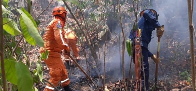 22 incendios han atendido los organismos de socorro en el Tolima 