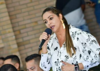 «Yo estoy muy preocupada por la seguridad en el sur del Tolima»: Gobernadora del Tolima
