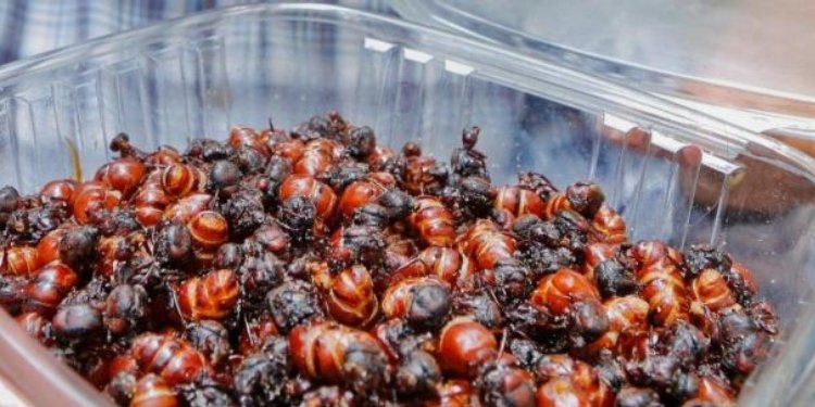 Las Hormigas Culonas, uno de los peores platos del mundo según una encuesta