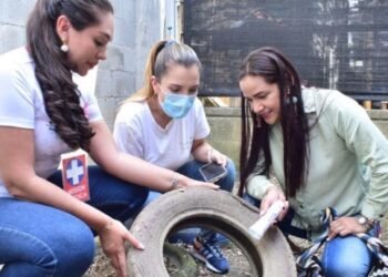 Ibagué ya se aproxima a 400 casos de dengue