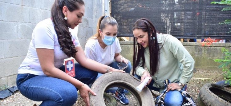 Ibagué ya se aproxima a 400 casos de dengue