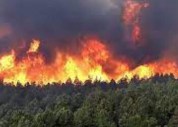 Colombia en alerta por incendios forestales agravados