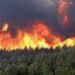 Colombia en alerta por incendios forestales agravados