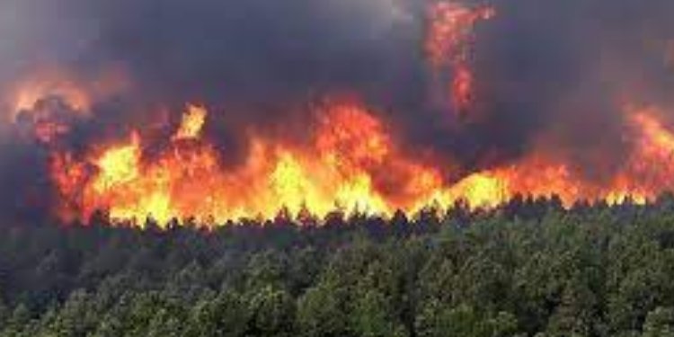 Colombia en alerta por incendios forestales agravados