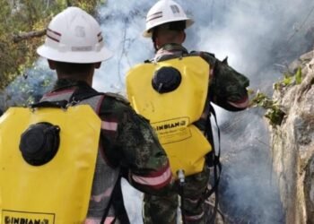 Gobierno departamental en alerta ante la amenaza de incendios en municipios del Tolima