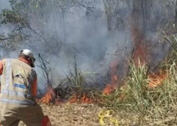Nuevos incendios causan estragos en el Tolima