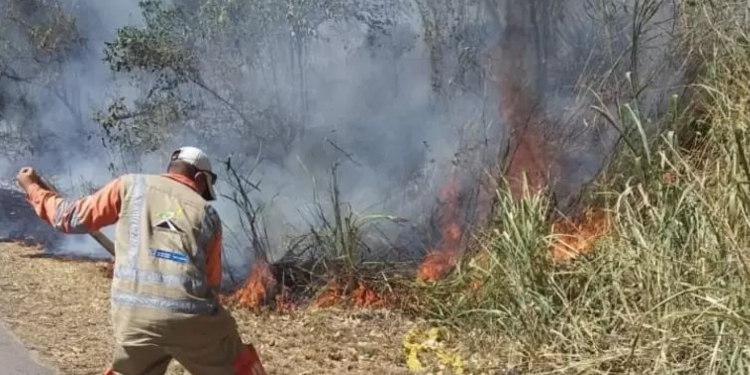 Nuevos incendios causan estragos en el Tolima