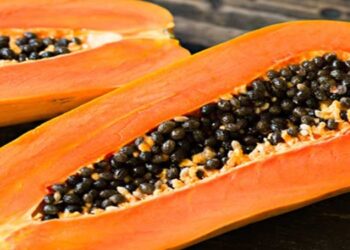 ¿Conoce los beneficios de la papaya?