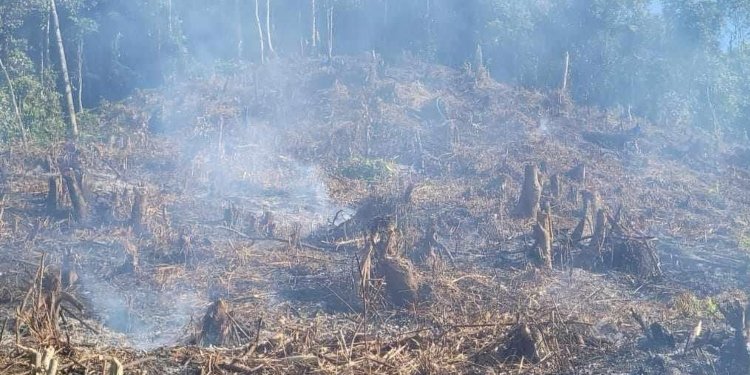 Procuraduría urge acelerar logística para atender emergencia por incendios forestales en el país