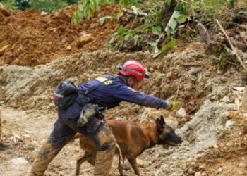 Presidencia declara estado de desastre natural en Chocó tras emergencia que deja 35 fallecidos
