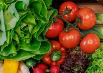Salud: Así puede aumentar el consumo de verduras en su dieta diaria