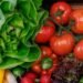 Salud: Así puede aumentar el consumo de verduras en su dieta diaria