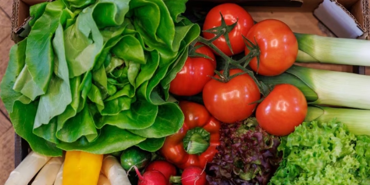 Salud: Así puede aumentar el consumo de verduras en su dieta diaria