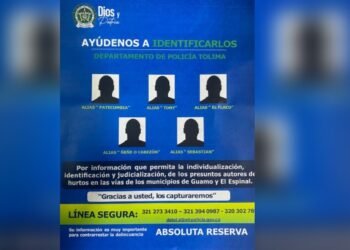 Conozca a los 5 Delincuentes que Tienen Azotada la Vía Guamo – Espinal